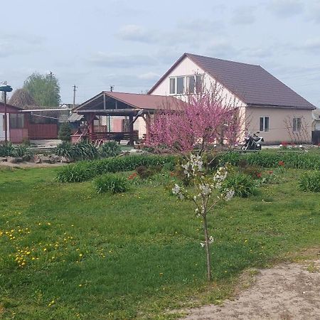 Садиба Зеленого Туризму «Золота Рибка» Medvedevka Exterior photo